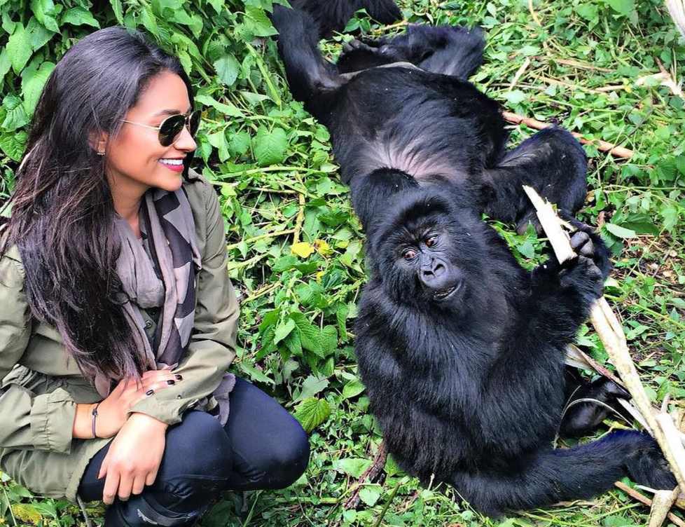 Uganda's Bwindi gorilla trekking fees, permit details & tour costs for 2025-2026. Start planning your unforgettable adventure!