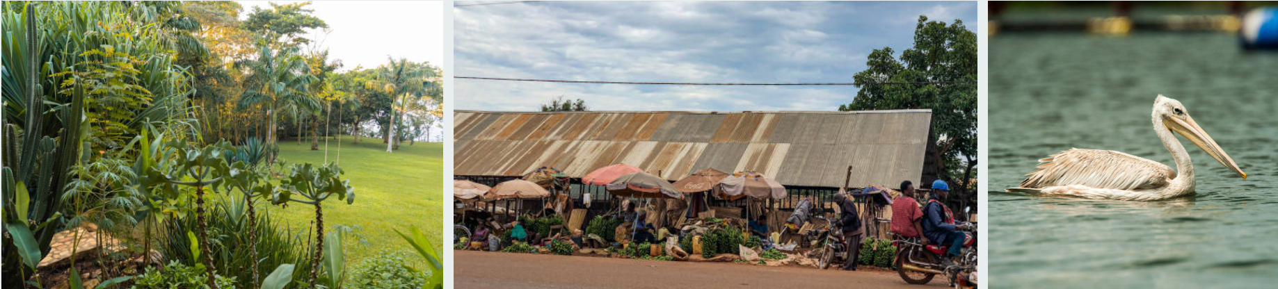 Boat cruise on the Nile during 1-Day Jinja City Tour