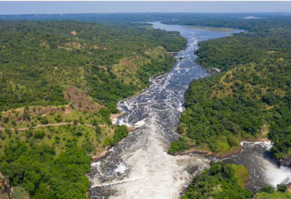 Gorilla trekking and wildlife safari in Uganda's lush national parks.